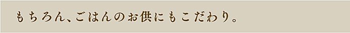 もちろん、ごはんのお供にもこだわり。